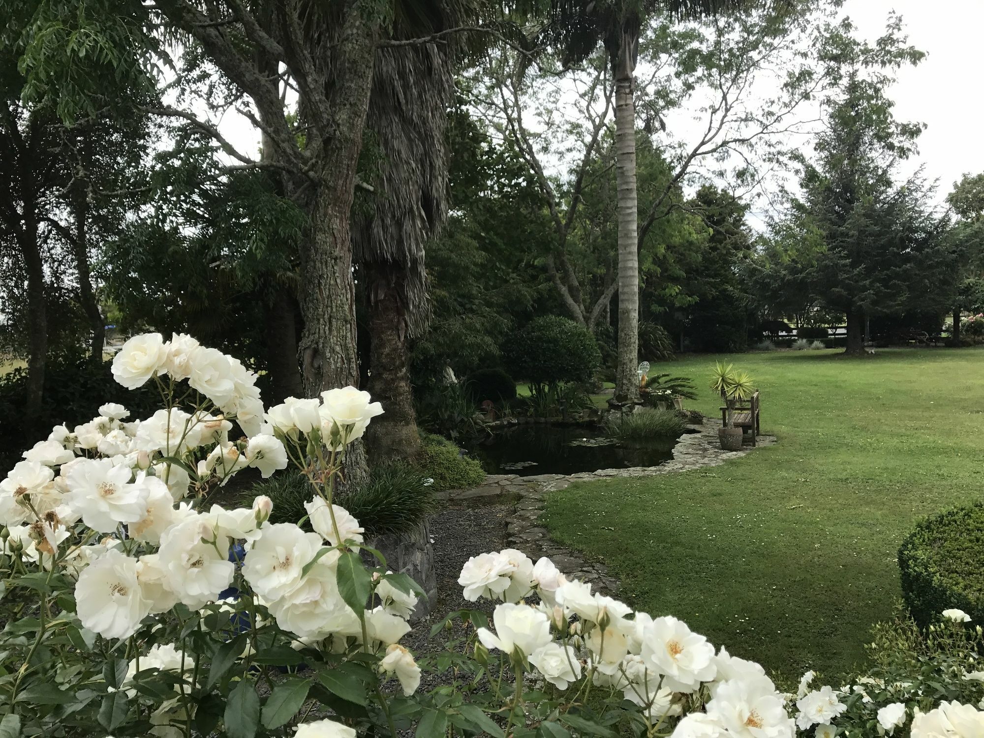 Blairgowrie House Panzió Cambridge Kültér fotó