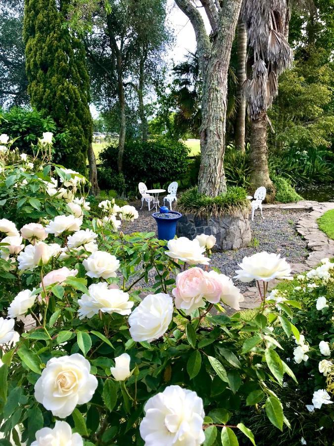 Blairgowrie House Panzió Cambridge Kültér fotó